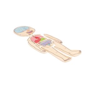 Körperpuzzle Mädchen-image