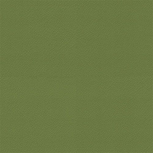 Olive ITA09