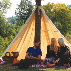Baum Tipi-image