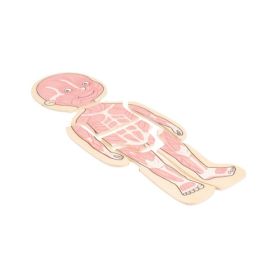 Körperpuzzle Mädchen-image