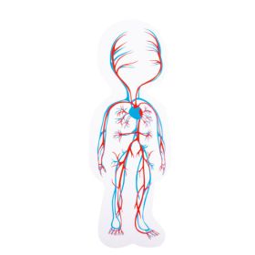 Körperpuzzle Junge-image