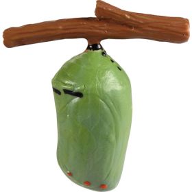 Lebenszyklen Schmetterling-image