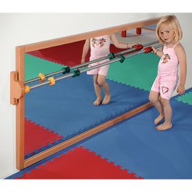 Lauflernspiegel-image