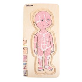 Körperpuzzle Junge-image