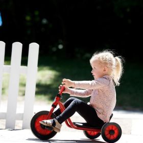 WINTHER Mini Viking Easy Rider-image