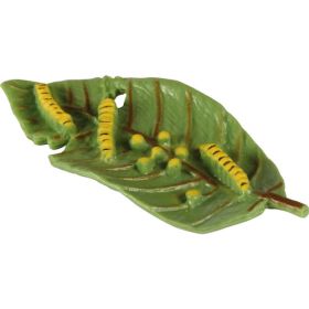 Lebenszyklen Schmetterling-image