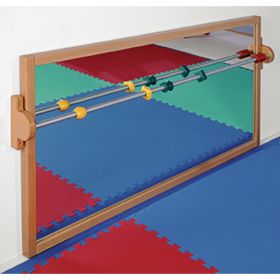 Lauflernspiegel-image