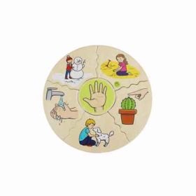 Humanico 5 Sinne-image