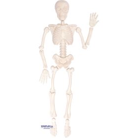 Sandform menschliches Skelett, 15-tlg.-image