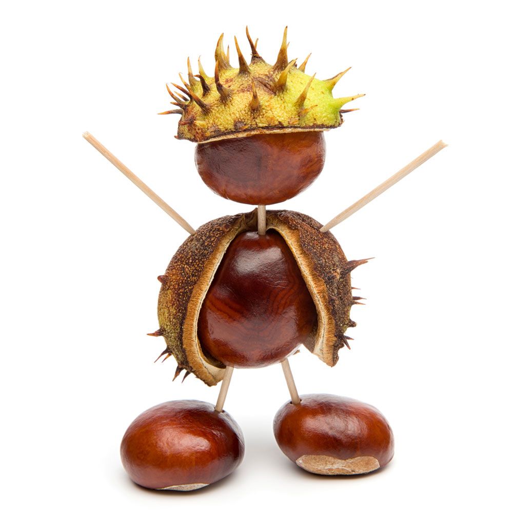 Kastanienbohrer Set aus Holz-image