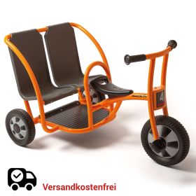 Doppeltaxi aktiv-image