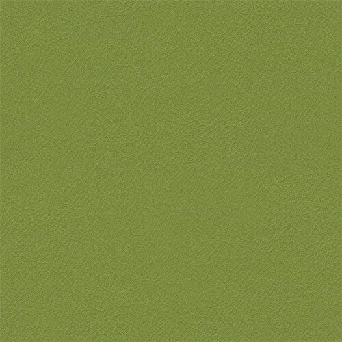 Avocado ITA06