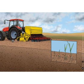 Kamishibai: Wie aus Getreide Brot wird-image